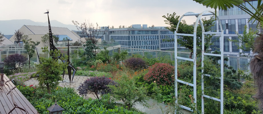 南京萬通城市建設(shè)設(shè)計院弱電系統(tǒng)項目案例。